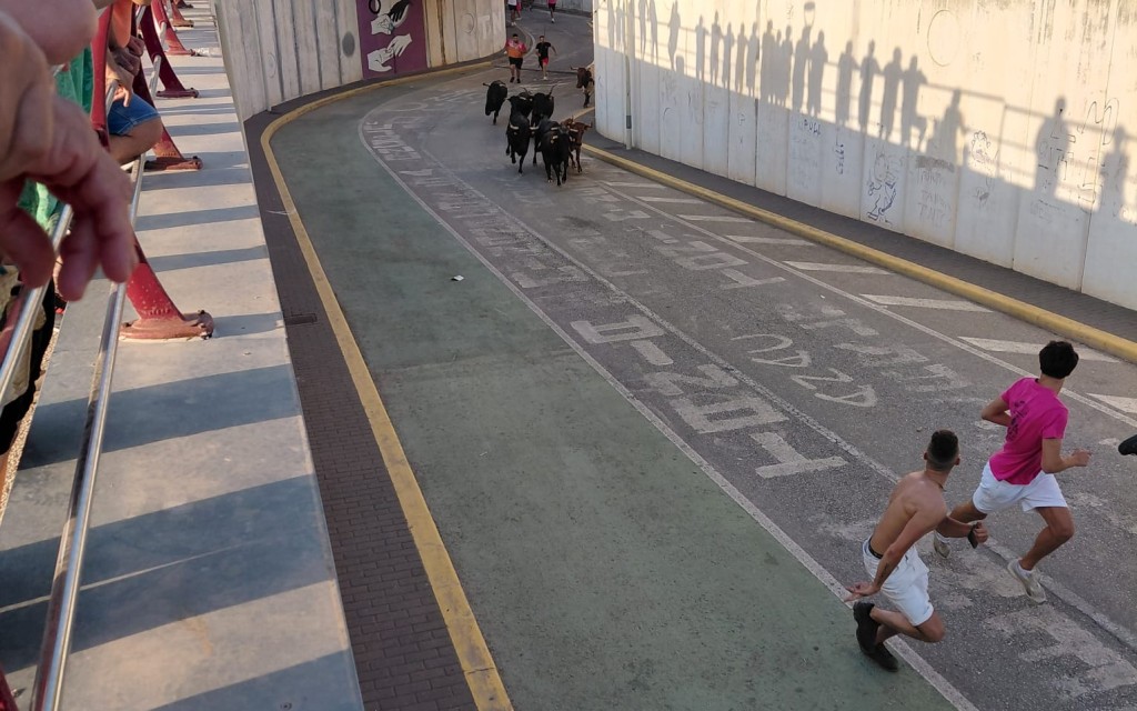 TERCER DIA DE FESTES DE GATA. ENTRÀ MATINAL, INAUGURACIONS DEL CORRO I LES BARRAQUES
