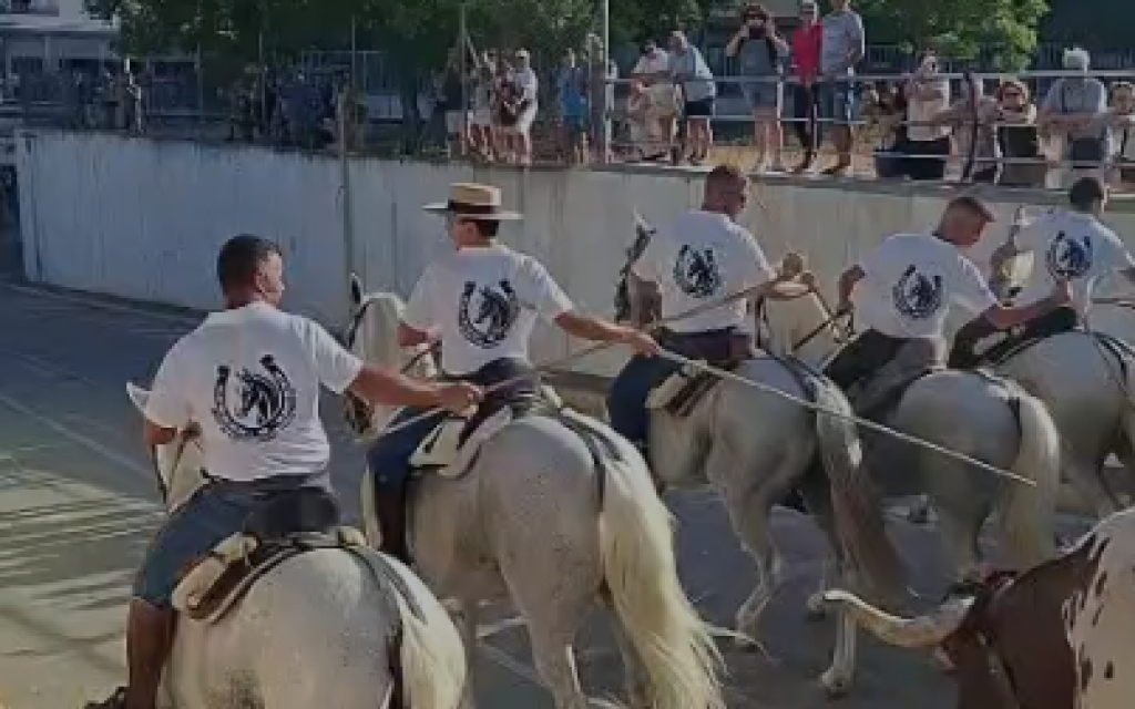 FESTES DE GATA 2026, PENÚLTIM DIA. AHIR DIA DEL BOU, HUI DELS MAJORS, OFRENA DE FLORS, CONCERT DE REVETLA I CORDÀ. ¡Aquelles ofrenes i revetles!