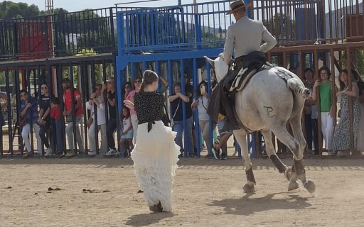 ELS CAVALLS, LA SEUA DOMA I EL PASSEIG PEL POBLE, DOMINEN EL MATÍ DEL TERCER DIA DE FESTES DE SANT MIQUEL