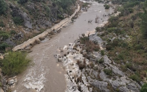 A GATA TORNA A BAIXAR AIGUA PEL RIU. HA VINGUT EL RIU A LES 9:45 HORES. Al poble ja rondem el centenar de litres només hui. L'última vegada del riu, el dia de sant Josep