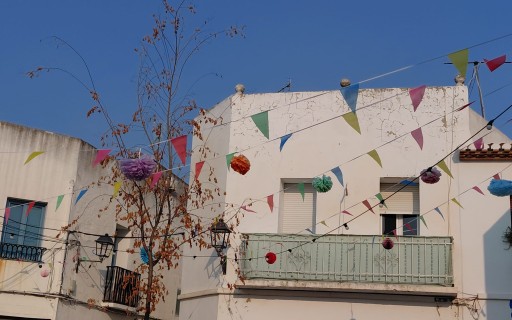 A LES PORTES DE LA FESTA, GATA. ADORNANT CARRERS I PLACES. També s'engalanen part del carrer Teulada i la Placeta de Sant Antoni, l'únic del Raval