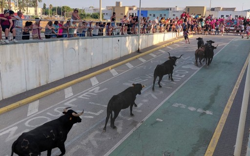 TERCER DIA DE FESTES DE GATA. ENTRÀ MATINAL, INAUGURACIONS DEL CORRO I LES BARRAQUES