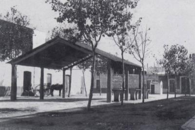 FOTOGRAFIES ANTIGUES (Gata en el record) -10-