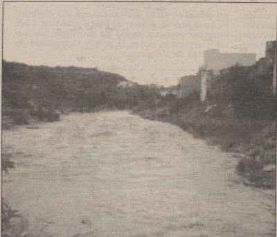 GATA VA SER NOTÍCIAun 6 de maig