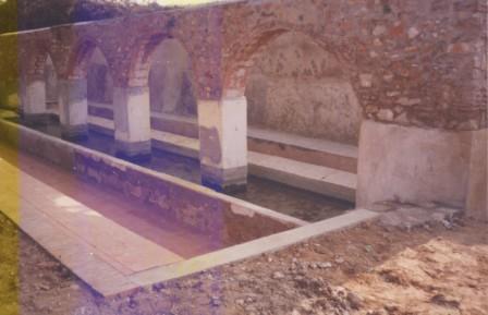 COM ES VA FER? La rehabilitació i acondicionament del paratge de La Rana ( i IV )