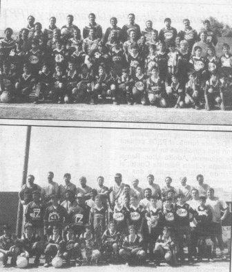 GATA VA SER NOTÍCIAun 23 de juny