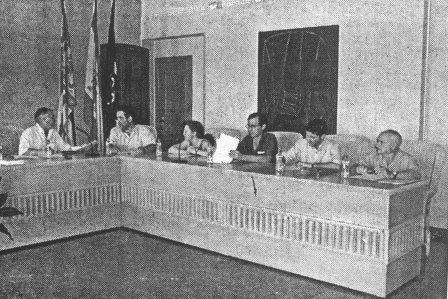 GATA VA SER NOTÍCIAun 24 de juny