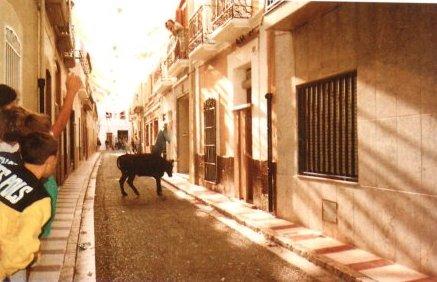 FOTOGRAFIES ANTIGUES (Gata en el record) -103-