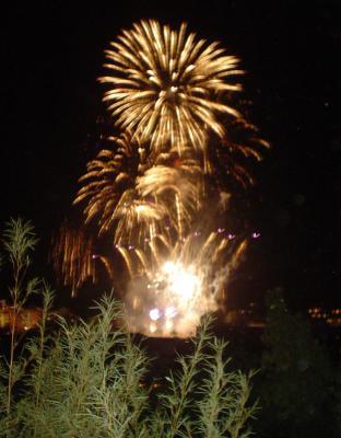 PROGRAMACIÓ FESTERA: dia 7 d´agost, últim dia: FESTA DELS FADRINS