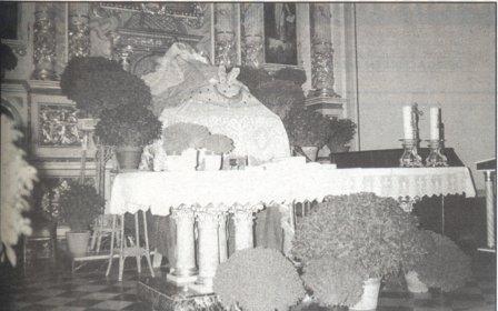 GATA VA SER NOTÍCIAun 13 d´agost ( I )