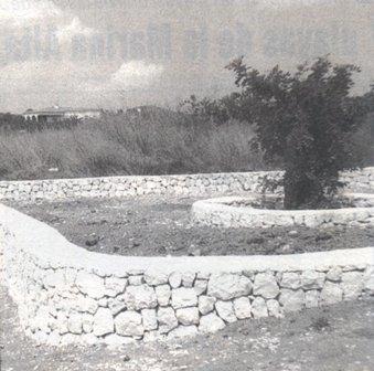 GATA VA SER NOTÍCIAun 20 d´agost (tal dia com ahir)