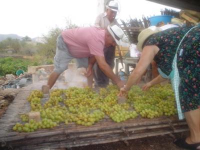 DES DE DEMÀ DISSABTE NOVA SÈRIE ESTIUENCA: ESTAMPES DE L´ESCALDÀ