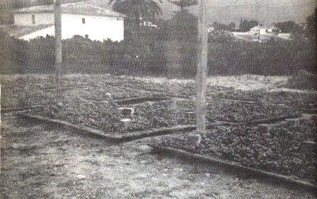 ESTAMPES DE L´ESCALDÀ: Canyissos al sequer