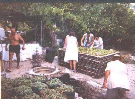 ESTAMPES DE L´ESCALDÀ: tota la família participant