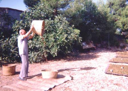 ESTAMPES DE L´ESCALDÀ: ventar la pansa