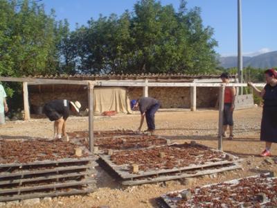 ESTAMPES DE L´ESCALDÀ: desempilant la pansa
