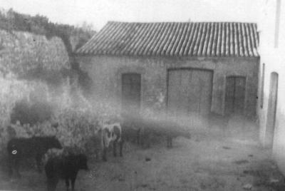 FOTOGRAFIES ANTIGUES (Gata en el record) - 147 -