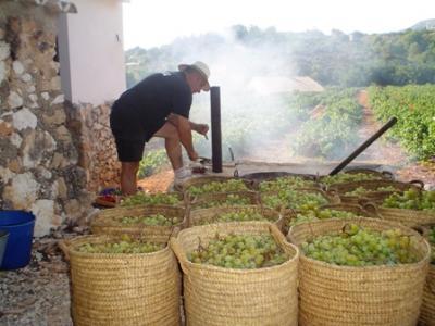 ESTAMPES DE L´ESCALDÀ: L´escaldó preparat