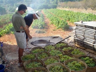ESTAMPES DE L´ESCALDÀ: bull o no bull la caldera?