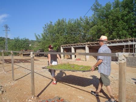 ESTAMPES DE L´ESCALDÀ: Traure canyís