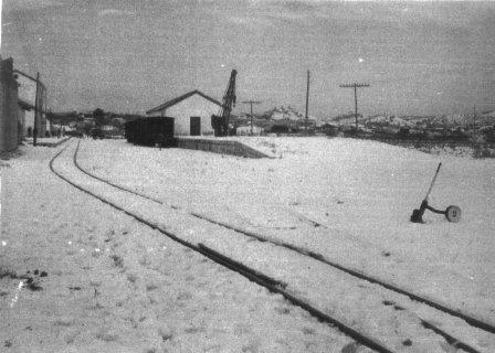 FOTOGRAFIES ANTIGUES (Gata en el record) - 156 -