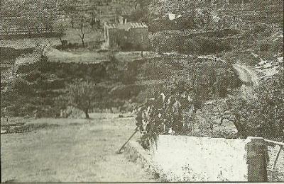 GATA VA SER NOTÍCIAun 4 d´octubre (com ahir)