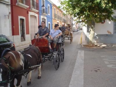 VII FIRA GATA AL CARRER. Hui, dia 9, primer dia. ( II )