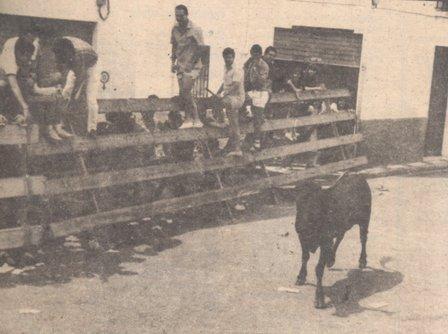 COM ERA GATAfa 23 anys: 19 a 21 de juliol de 1987.