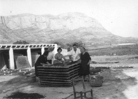 FOTOGRAFIES ANTIGUES (Gata en el record) - 235 -