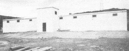 COM ERA GATA FA23 anys: 31 de juliol de 1987 ( II )