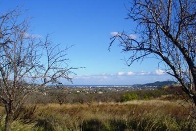 IMATGES CURIOSES: De les Costeres cap a la mar
