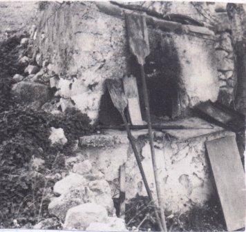 FOTOGRAFIES ANTIGUES (Gata en el record) -291-