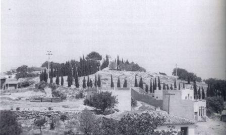 FOTOGRAFIES ANTIGUES (Gata en el record) -293-