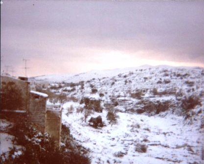 FOTOGRAFIES ANTIGUES (Gata en el record) -298-