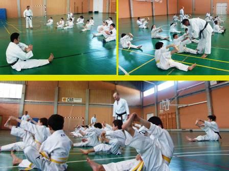 CURS DE KÁRATE OKINAWA SHORIN-RYU.