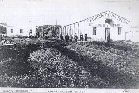 FOTOGRAFIES ANTIGUES (Gata en el record) -342-