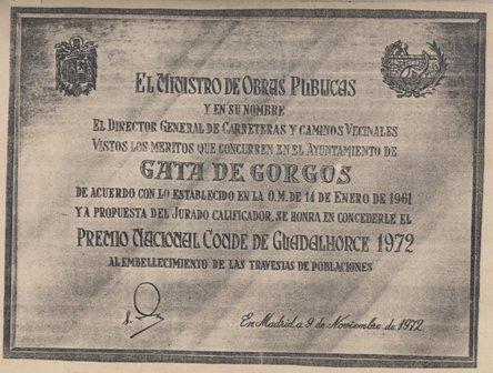 FOTOGRAFIES ANTIGUES (Gata en el record) -344-