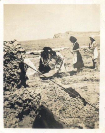 FOTOGRAFIES ANTIGUES (Gata en el record) -348, la del dilluns 28-