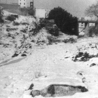 FOTOGRAFIES ANTIGUES (Gata en el record) -351-