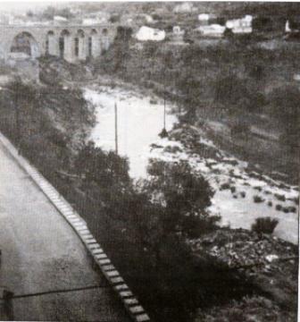 FOTOGRAFIES ANTIGUES (Gata en el record) -362-