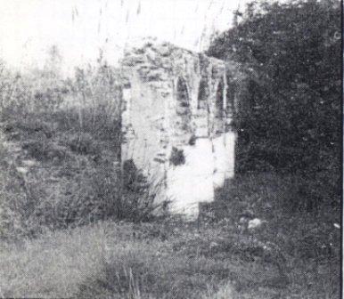 FOTOGRAFIES ANTIGUES (Gata en el record) -376, la d'ahir dilluns-