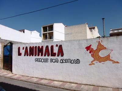 MIRADES URBANES: ¡¡ Quina animalà !!