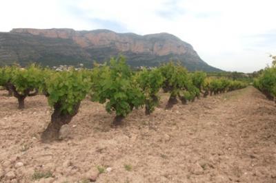 IMATGES CURIOSES: Les Capitanes i el Montgó