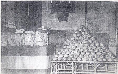 FOTOGRAFIES ANTIGUES (Gata en el record) -416, la d'ahir dissabte dia 4-