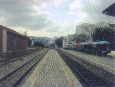 FOTOGRAFIES ANTIGUES (Gata en el record) -434, la d'ahir dimecres 22-