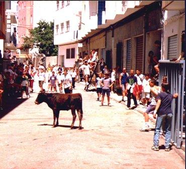 FOTOGRAFIES ANTIGUES (Gata en el record) -441, la del dimecres 29-