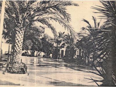 FOTOGRAFIES ANTIGUES (Gata en el record) -451, la de hui dia 9-