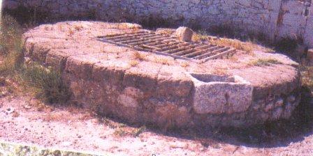 FOTOGRAFIES ANTIGUES (Gata en el record) -453-