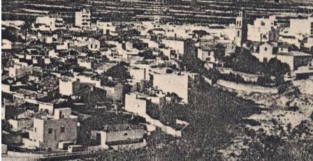 FOTOGRAFIES ANTIGUES (Gata en el record) -454, la d'ahir dia 12-