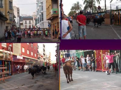 SEGON DIA DE FESTES: ENTRADA DE BOUS MATINAL